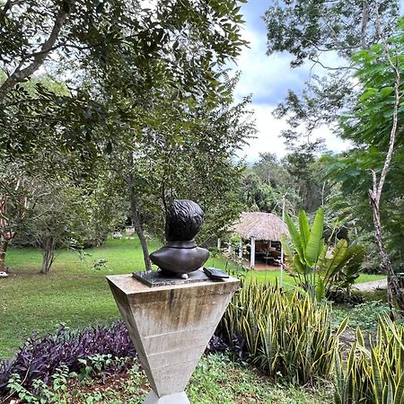 El Encanto - Hotel Boutique Chichén-Itzá Exteriör bild