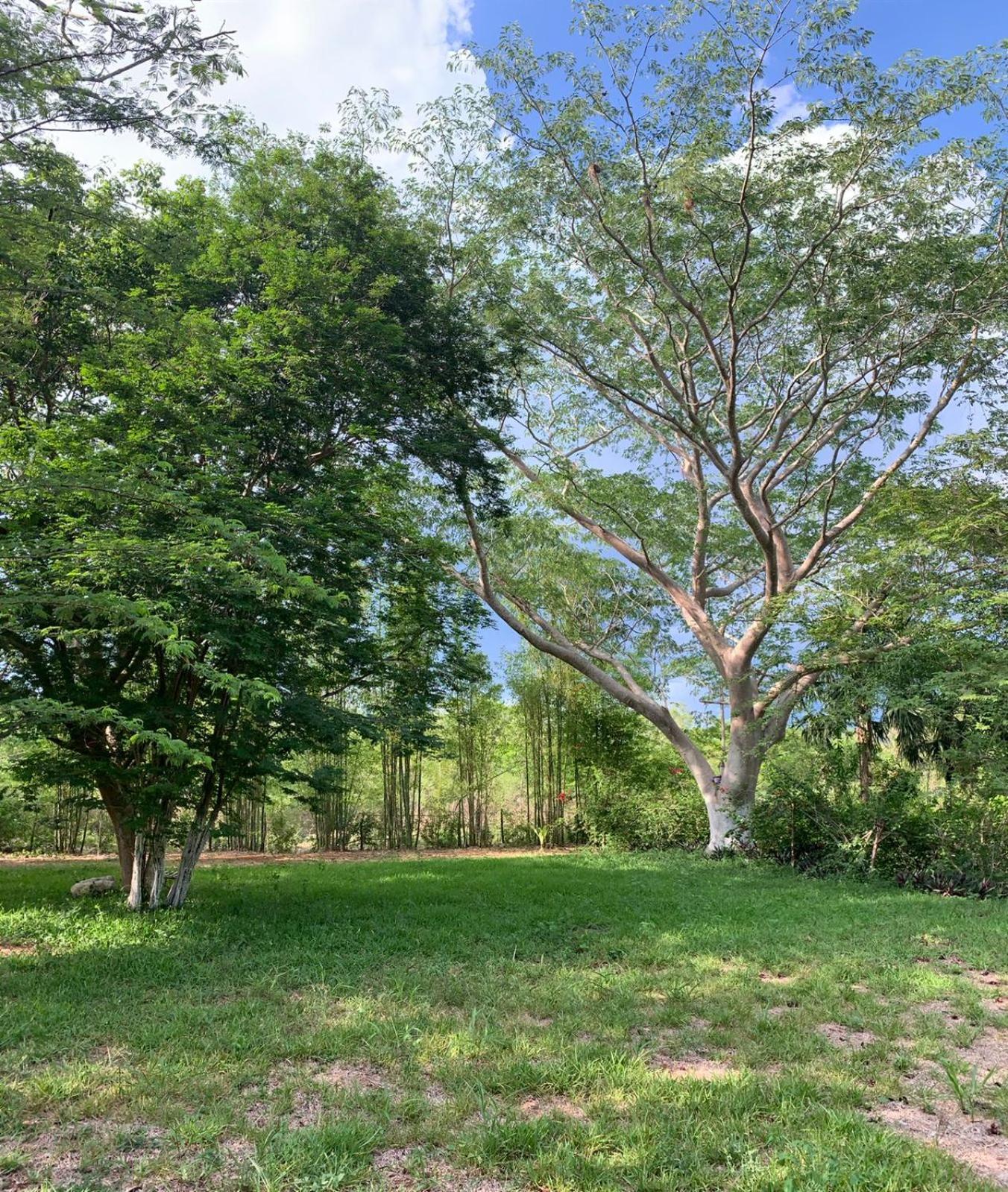 El Encanto - Hotel Boutique Chichén-Itzá Exteriör bild